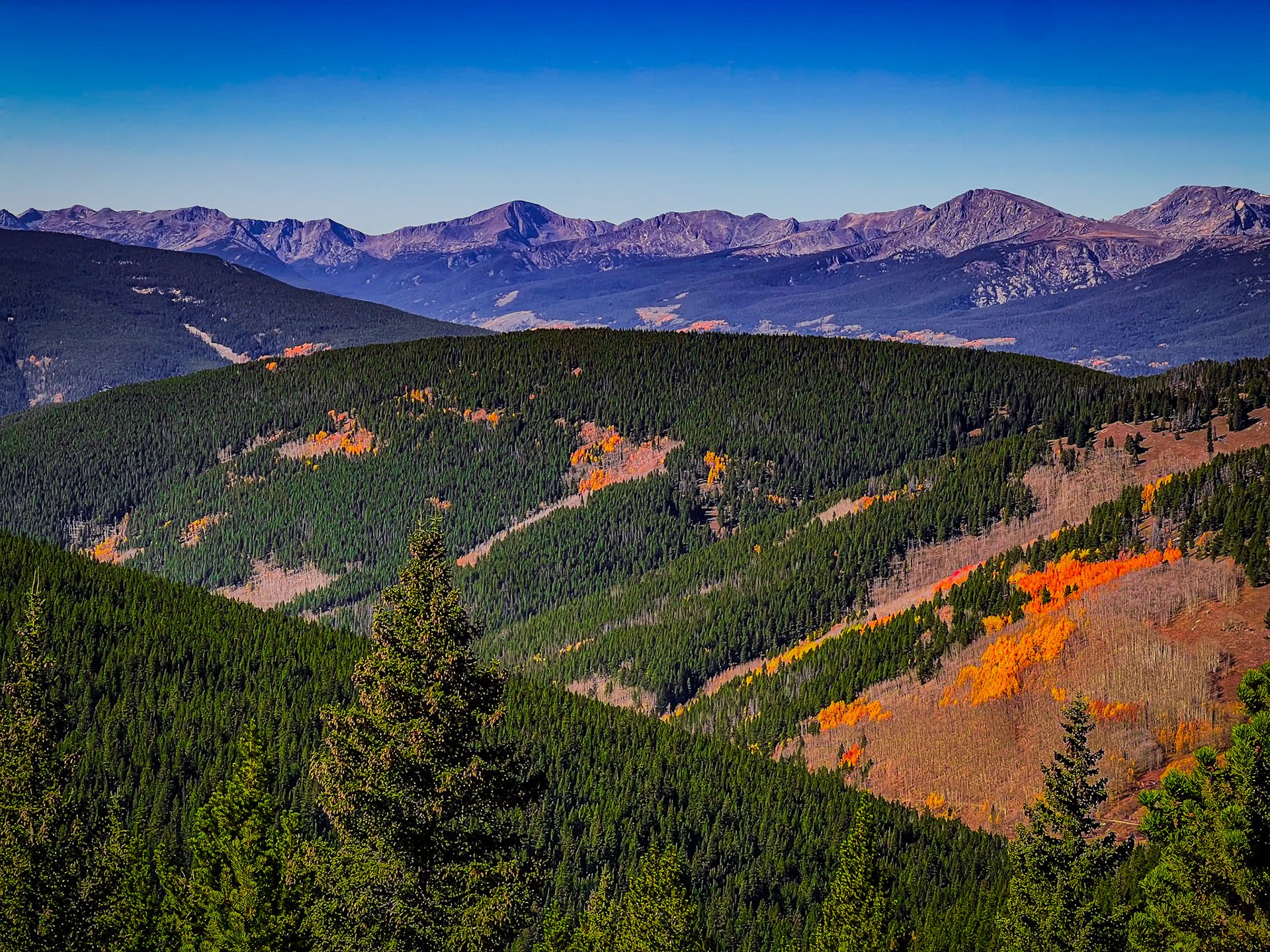 2024 Scribdfest in Vail