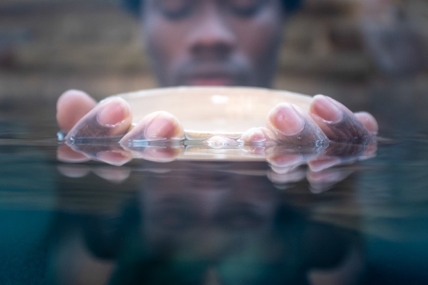 How to Prepare for an Underwater Photo Session